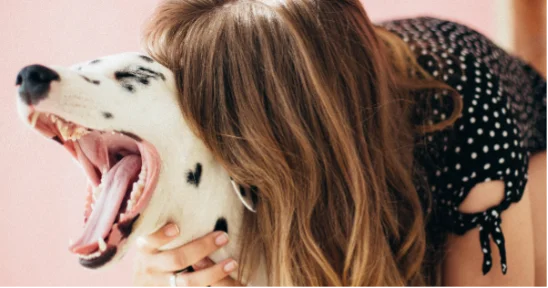 Laryngeal-Paralysis-in-Dogs-1