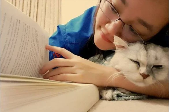 pet grief support