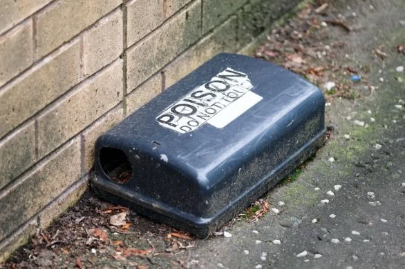 rat- bite
