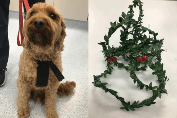 chirstmas 