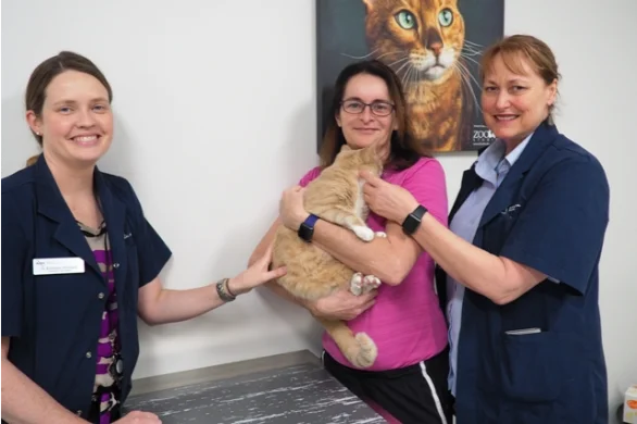 Is Your Pet At Risk Of Developing Skin Cancer?
