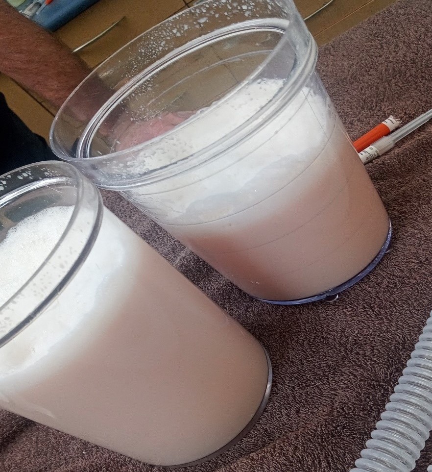 chylothorax-in-dogs-case-study