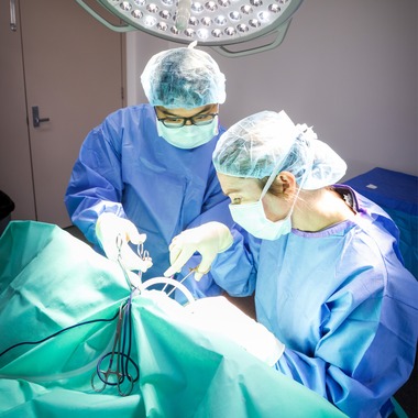 Spontaneous Pneumothorax in Dogs | Diagnosis & Treatment