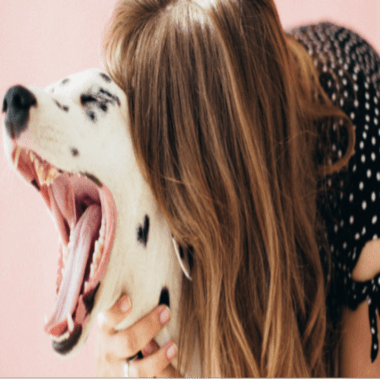 Laryngeal Paralysis in Dogs | Symptoms & Treatment