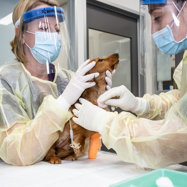 A Big Bite or a Little Bite