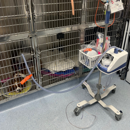 News from across the network: June 2024