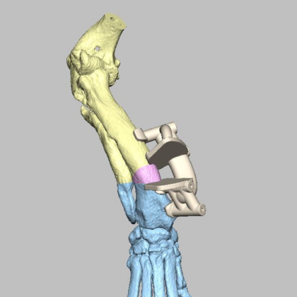 News from across the network: March 2024