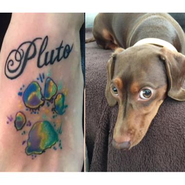 Honouring Our Pets Once They Are Gone