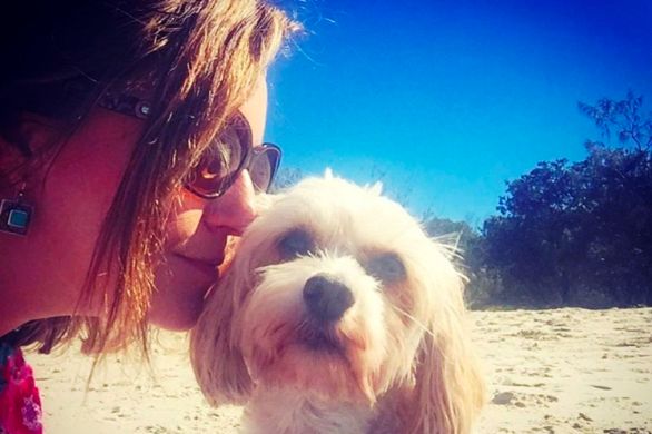 pet grief support