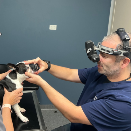 News from across the network: Feb 2024