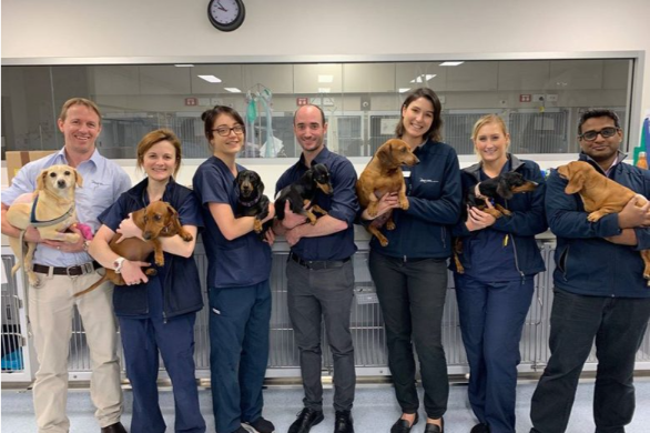 what-is-ivdd-and-what-to-do-about-it