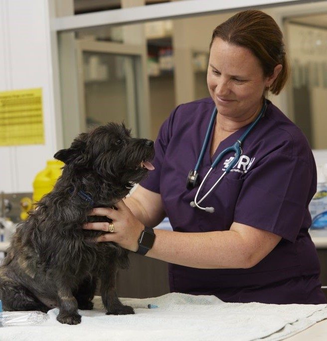 VRH Nurse with Patient