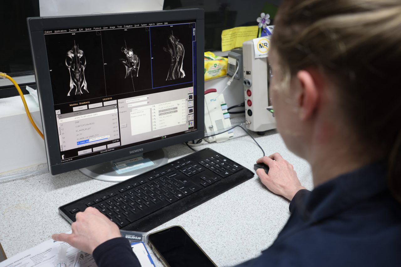 Diagnostic Imaging for Pets 02