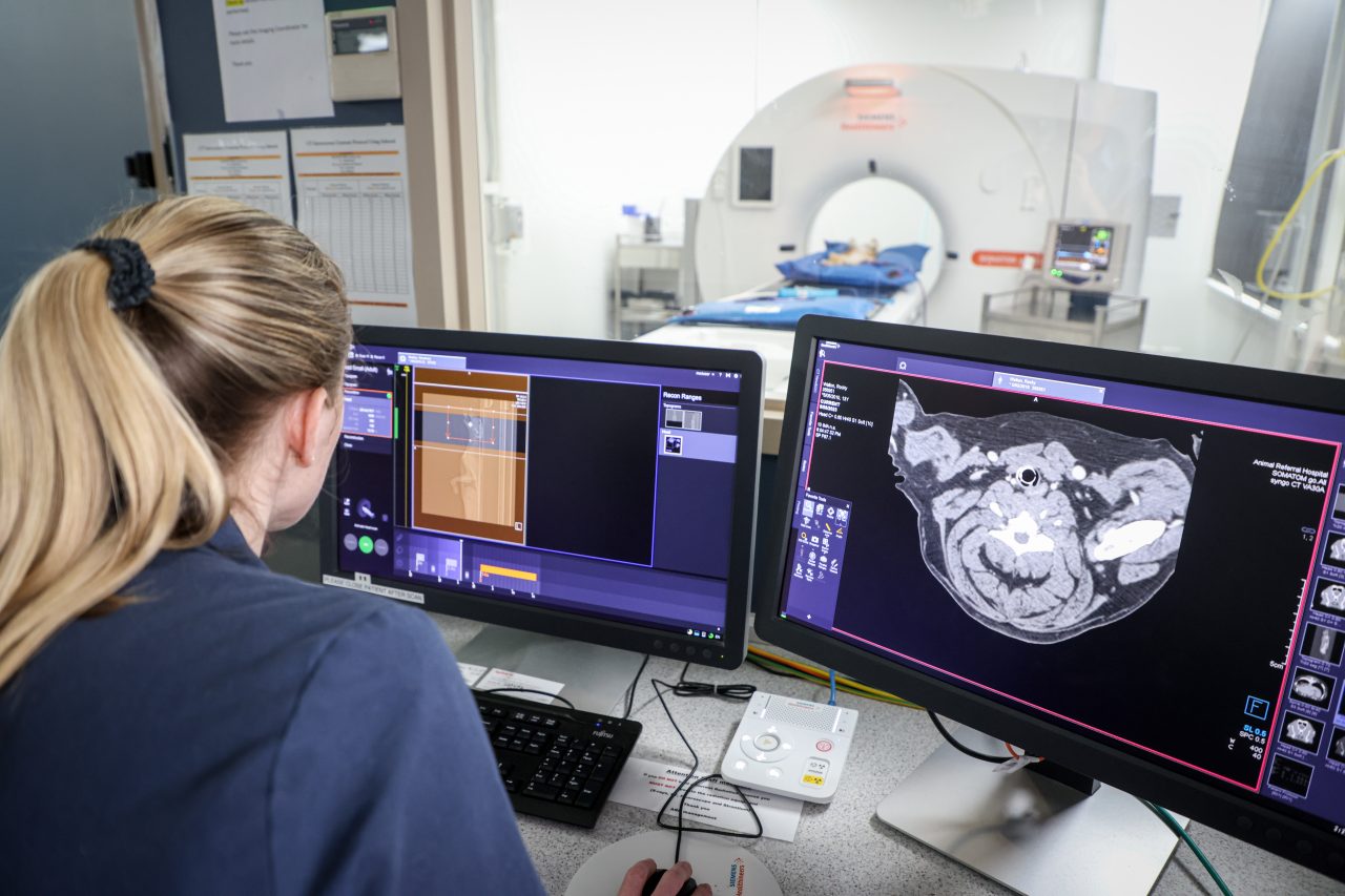 Diagnostic Imaging for Pets 03